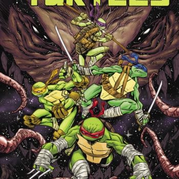 So Why Are The TMNT Going To Dimension X? And Who Is That Familiar Face? (FCBD SPOILERS)