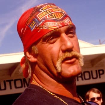Wrestling star Hulk Hogan, 1991, photo by Bart Sherkow/Shutterstock.com.