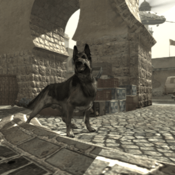 Activision Not Happy With Dog Scooper Parody Business