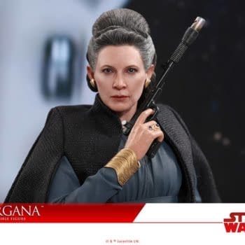 General Leia Hot Toys 3