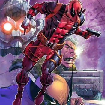 Who is Shatterstorm?! Rob Liefeld Teases New Character for Deadpool: Badder Blood