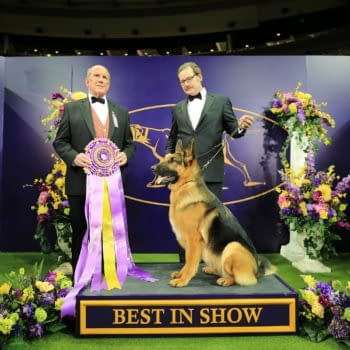 [2018 Westminster Dog Show] A Look Back at 2017's Best in Show!