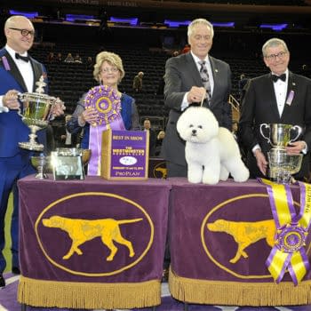[2018 Westminster Dog Show] Random Thoughts on Day #2, Best in Show
