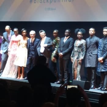 How Many Mid or Post-Credit Scenes Does the Black Panther Movie Have Then?