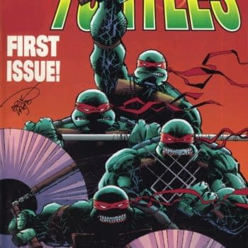 IDW to Finish Image's TMNT Vol. 3 After 2 Decades; Is There Hope for Image United?