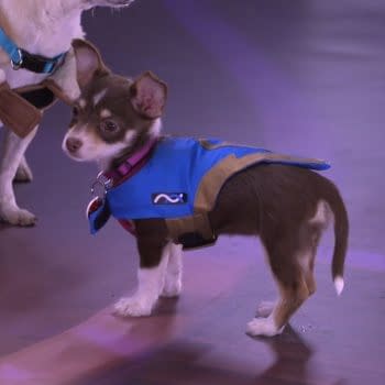 Overwatch: Blizzard's "Puppy Rumble" Is for All the Kibble!