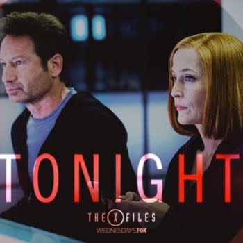 Let's Talk About The X-Files Season 11 Episode 7, 'Rm9sbG93ZXJz'