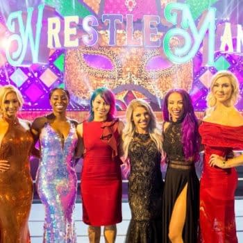 women of wwe wrestlemania 34 set