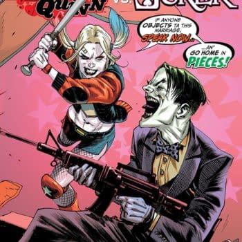 Harley Quinn vs. the Joker #1 cover by Rafael Albuquerque