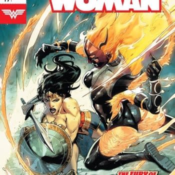 Wonder Woman #49 cover by Stephen Segovia and Romulo Fajardo Jr.