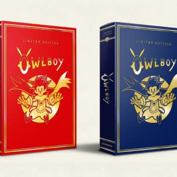 Owlboy: Limited Edition Delayed Again Until Late September