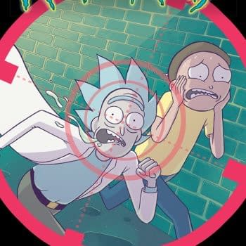 Rick and Morty #41 cover by Marc Ellerby and Sarah Stern