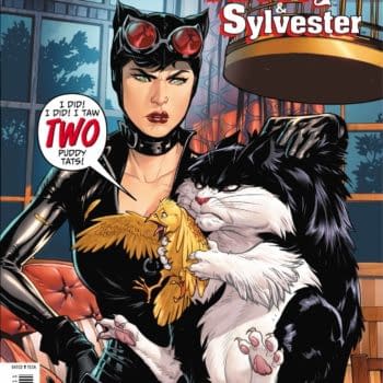 Catwoman/Tweety &#038; Sylvester Special is One of Gail Simone's Funnest Projects Ever&#8230;