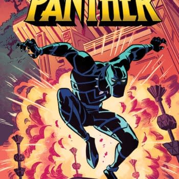 The Futures of Turtles, Ponies, Ghostbusters, and Kyle Baker's Black Panther Debuts in IDW January 2019 Solicitations