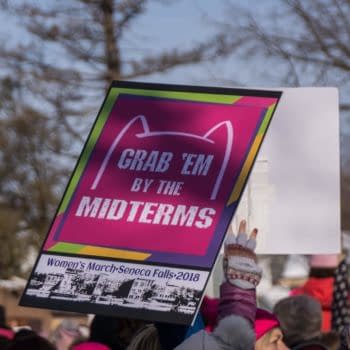 Comic Creators Talk About&#8230; The Midterms