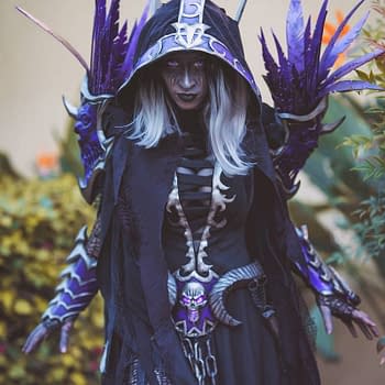 30 AMAZING Cosplay Photos from BlizzCon by DTJAAAAM