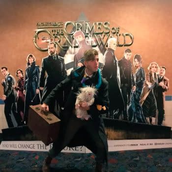 'Fantastic Beasts: The Crimes of Grindelwald'- A Devoted Fan's Thoughts