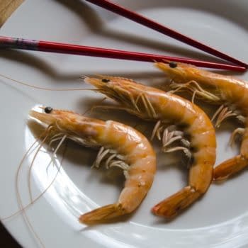 How Diamond Turned Florida Shrimp Liners Into Comic Book Backing Boards