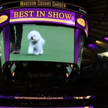 [2019 Westminster Kennel Club Dog Show] Your TV/Online Viewing Guide! [VIDEO]
