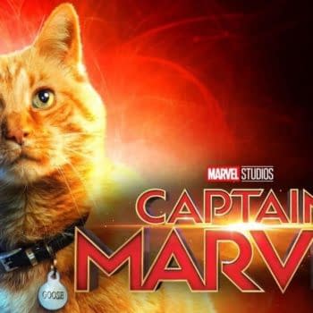 Biggest 'Captain Marvel' SPOILER: Brie Larson is Allergic to Cats