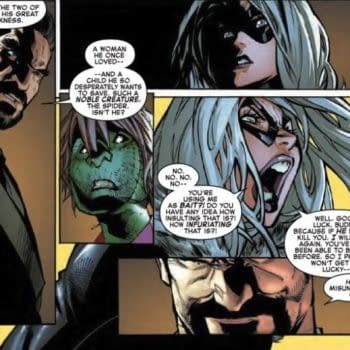 Black Cat Objects to Shoddy Female Representation in Amazing Spider-Man #17