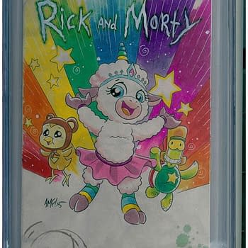 Rick &#038; Morty/Star Wars/Walking Dead Sketch CGC Collection Stolen From Los Angeles Storage Locker