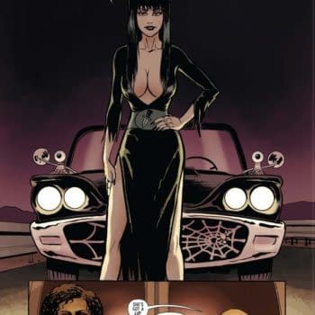 David Avallone's Writer's Commentary on The Shape Of Elvira #3
