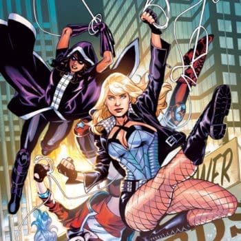 DC to Launch New Birds of Prey Book Book Starring Harley Quinn