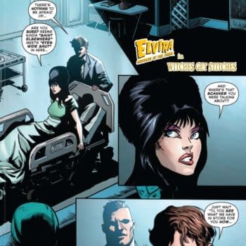 David Avallone's Writer's Commentary on Elvira: Mistress Of The Dark #10