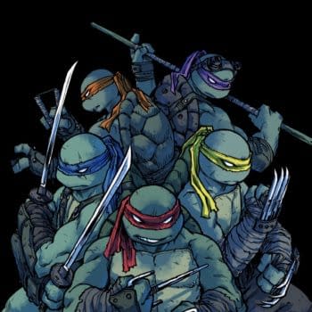 Sophie Campbell Will Bring Mona Lisa to IDW's TMNT Comic