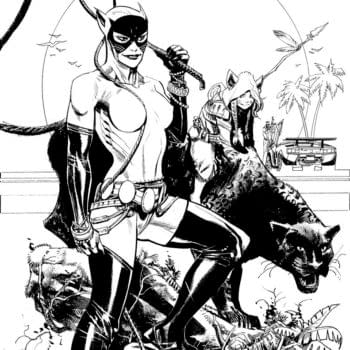 Catwoman Story Not Part Of Sean Gordon Murphy's Batman: White Knight Series