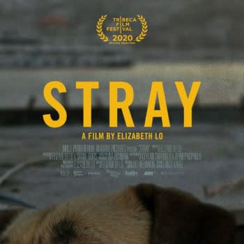 stray_xlg