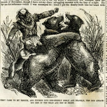 THE ISSUE: Grizzly Adams and the California Bear Flag
