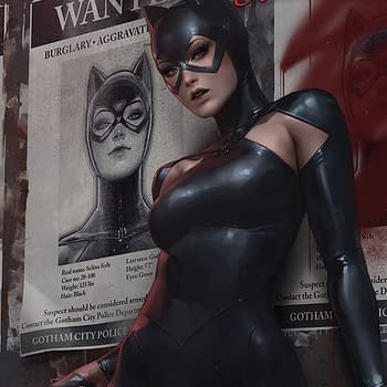 Catwoman 80th Anniversary Special #1 2010's Variant