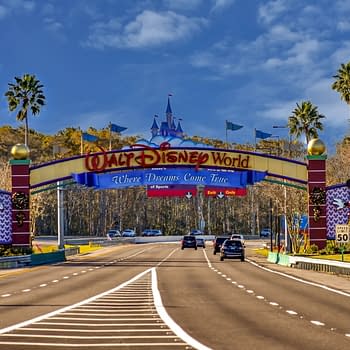 7 Magical Walt Disney World Resort Essentials for your Next Trip