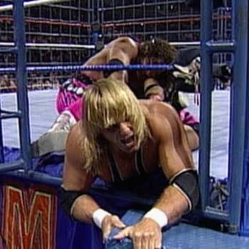 How Shawn Michaels Theft Ruined Bret Hart vs Owen Hart Cage Match