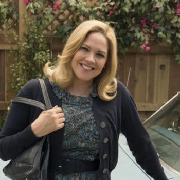 Mary McCormack in The Kids Are Alright (Image: ABC)