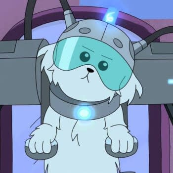 A look at Snowball from Rick and Morty (Image: Adult Swim)