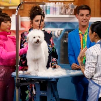 Haute Dog on HBO Max is Absolutely Paw-fection (Images: HBO Max)