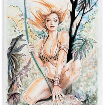 Bidders Take Aim At Original Art For Chris Delaras Robyn Hood Cover