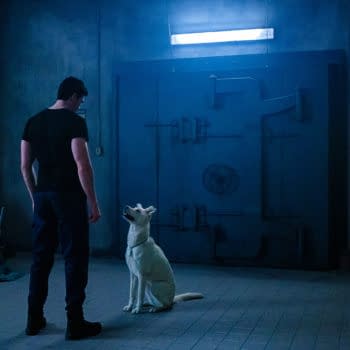 Titans star Joshua Orpin introduced the world to the newest Krypto (Image: WarnerMedia)