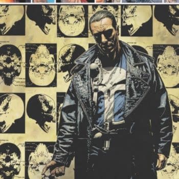 Did Marvel Cancel The Punisher Completely Without Telling Anyone?