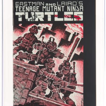 TMNT #1 Second Print Double Cover On Auction At Heritage
