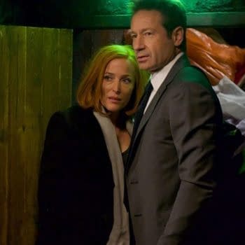 The X-Files: David Duchovny Could Care Less About Your Conspiracies