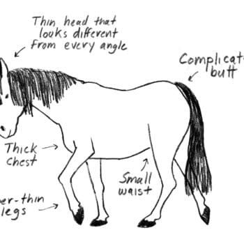 How To Draw A Horse's Emma Hunsinger's Graphic Novel, How It All Ends