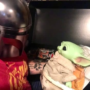 The Mandalorian Black Series Replica Helmet Is a Collectors Dream