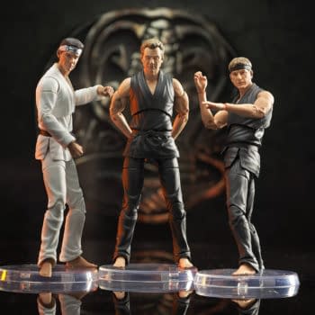 Cobra Kai Series 1 Figures Revealed by Diamond Select Toys