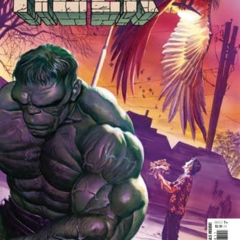 Cover image for IMMORTAL HULK #48