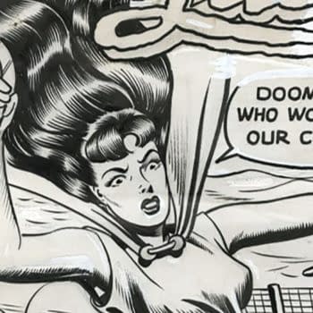 Can You Identify The Phantom Lady #2 Cover Artwork Artist At Auction?