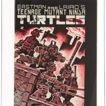 Teenage Mutant Ninja Turtles #1 Goes Under The Hammer, Today